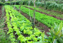 Kỹ thuật tác nghiệp