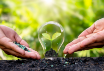 Yêu cầu sinh thái