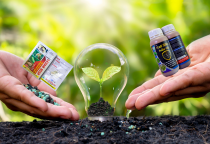 Đặc điểm sinh học của cây