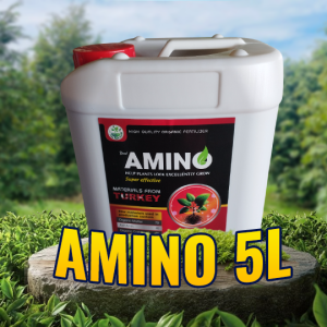 AMINO 5L 