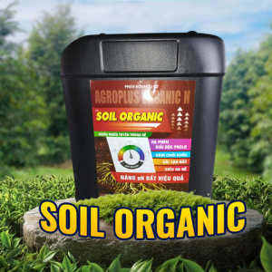 SOIL ORGANIC