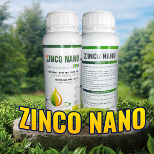 ZINCO NANO