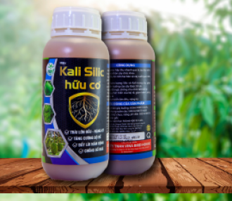 KALI SILLK HỮU CƠ