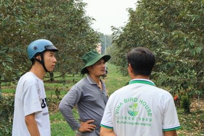 Nông dân Bình Phước chuyển đổi sang thuốc BVTV hữu cơ cho sầu riêng