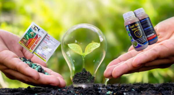 Đặc điểm sinh học của cây