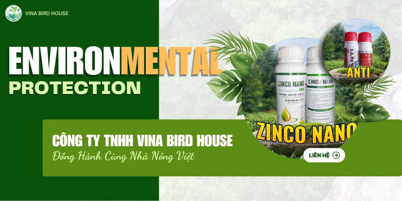 CÔNG TY TNHH VINA BIRD HOUSE