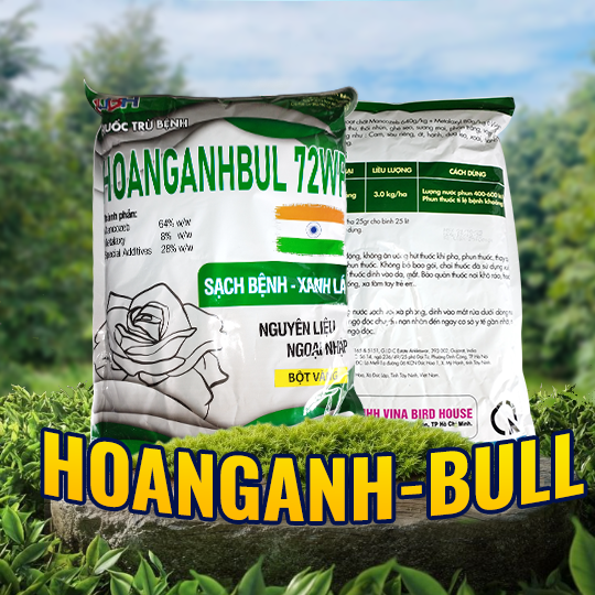 HOANGANHBUL 72WP