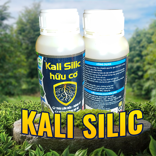 KALI SILIC