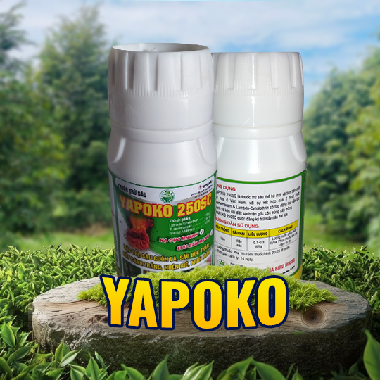 YAPOKO