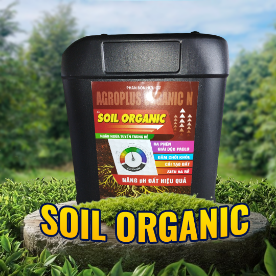 SOIL ORGANIC