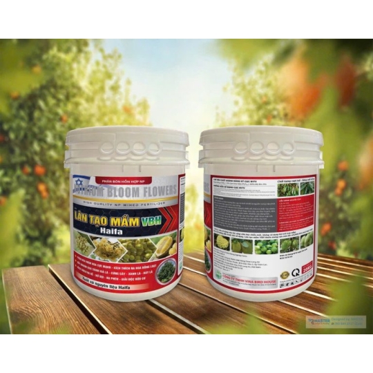 LÂN TẠO MẦM VBH